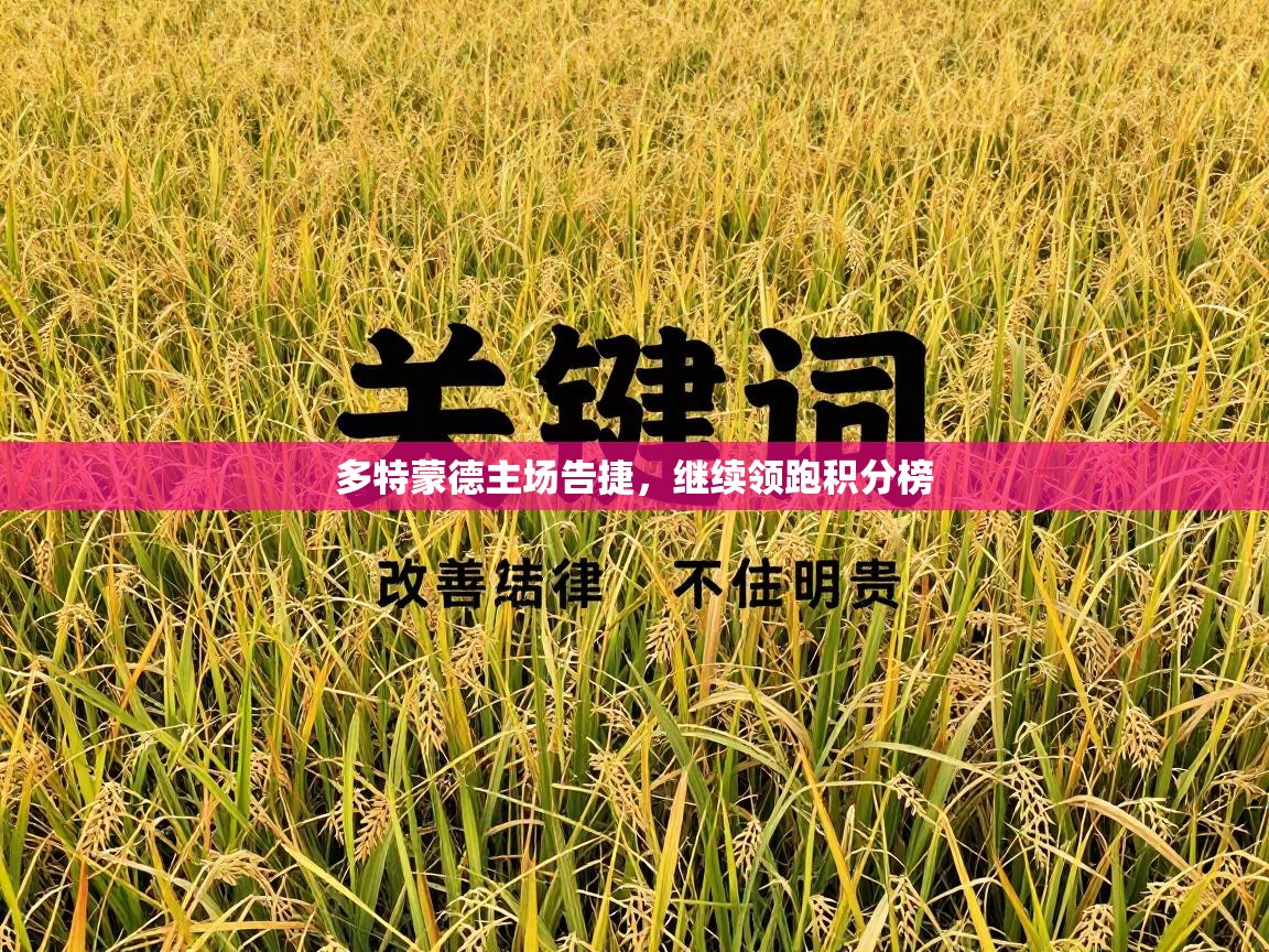 多特蒙德主场告捷，继续领跑积分榜  第1张