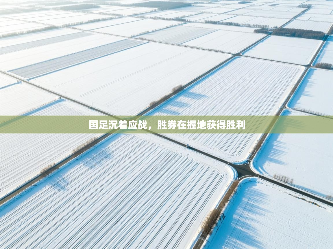 国足沉着应战，胜券在握地获得胜利  第2张